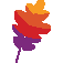 Apache Software Foundation logo