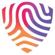 BigID logo
