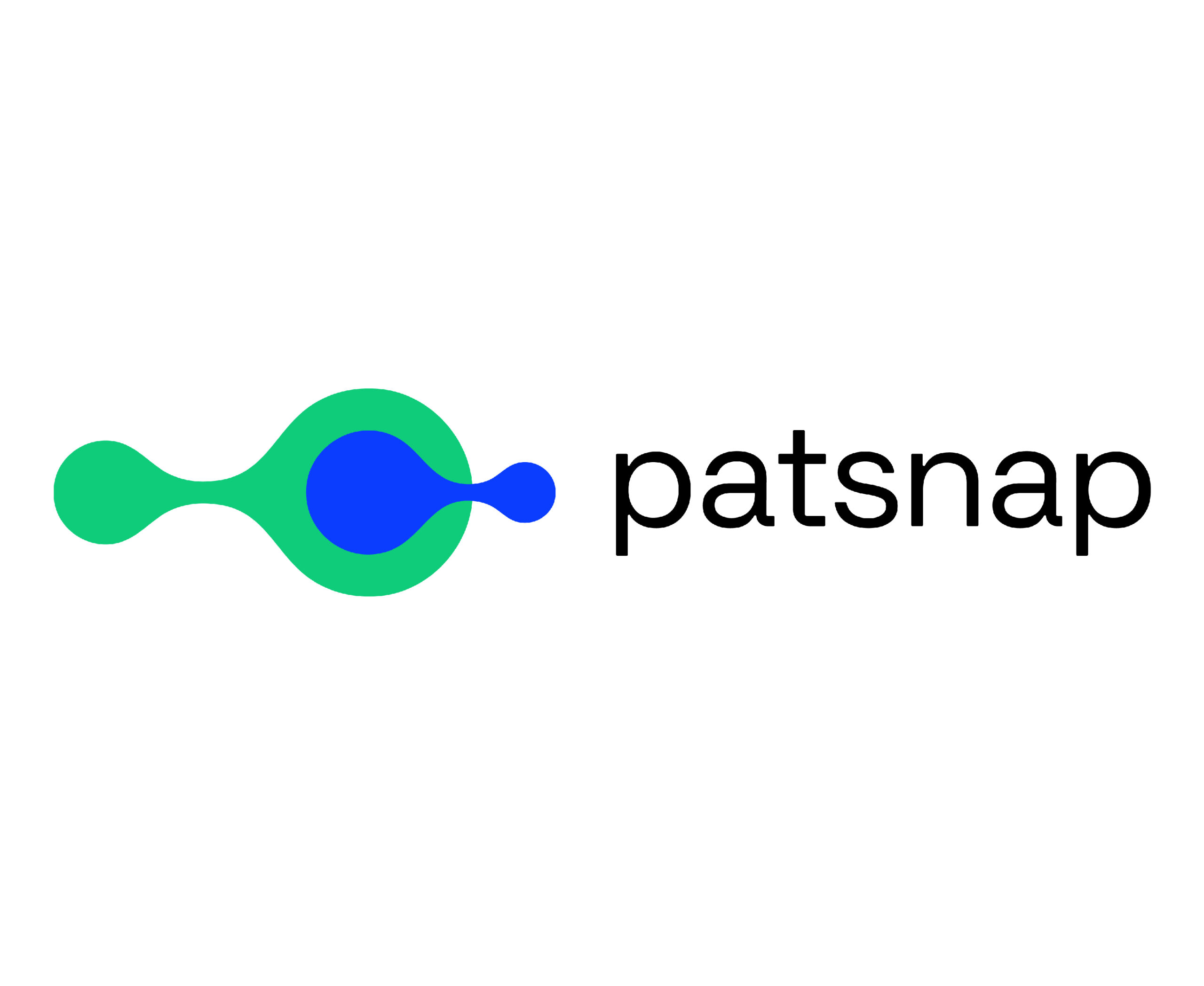 PatSnap Global Services logo