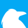 Raven logo
